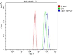Invitrogen MED13 Polyclonal Antibody 100 &mu;g; Unconjugated:Antibodies,