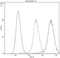 Invitrogen NME1 Polyclonal Antibody 100 &mu;g | Buy Online | Invitrogen&trade; | Fisher Scientific