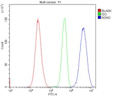 Invitrogen NONO Polyclonal Antibody 100 &mu;g; Unconjugated:Antibodies,
