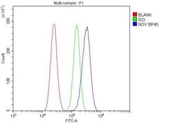 Invitrogen NOV Polyclonal Antibody 100 &mu;g; Unconjugated:Antibodies,
