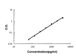 Invitrogen Mimecan Polyclonal Antibody 100 &mu;g; Unconjugated:Antibodies,