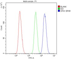 Invitrogen OPA1 Polyclonal Antibody 100 &mu;g; Unconjugated:Antibodies,