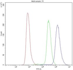 Invitrogen PDE4D Polyclonal Antibody 100 &mu;g; Unconjugated:Antibodies,