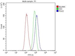 Invitrogen PLK2 Polyclonal Antibody 100 &mu;g; Unconjugated:Antibodies,