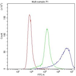 Invitrogen MYPT1 Polyclonal Antibody 100 &mu;g | Buy Online | Invitrogen&trade; | Fisher Scientific