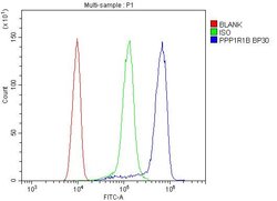 Invitrogen DARPP-32 Polyclonal Antibody 100 &mu;g; Unconjugated:Antibodies,