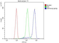 Invitrogen DARPP-32 Polyclonal Antibody 100 &mu;g; Unconjugated:Antibodies,