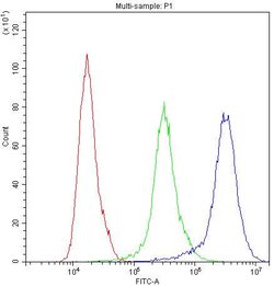 Invitrogen PRX Polyclonal Antibody 100 &mu;g; Unconjugated:Antibodies,