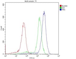 Invitrogen PRX Polyclonal Antibody 100 &mu;g; Unconjugated:Antibodies,