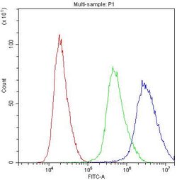 Invitrogen PRX Polyclonal Antibody 100 &mu;g; Unconjugated:Antibodies,