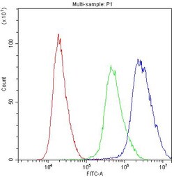 Invitrogen PTP4A2 Polyclonal Antibody 100 &mu;g; Unconjugated:Antibodies,