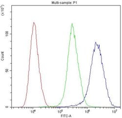 Invitrogen PTP4A2 Polyclonal Antibody 100 &mu;g; Unconjugated:Antibodies,