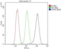 Invitrogen PTP1B Polyclonal Antibody 100 &mu;g; Unconjugated:Antibodies,