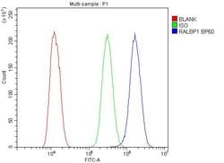 Invitrogen RALBP1 Polyclonal Antibody 100 &mu;g; Unconjugated:Antibodies,
