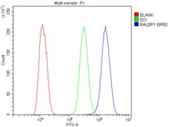 Invitrogen RALBP1 Polyclonal Antibody 100 &mu;g; Unconjugated:Antibodies,