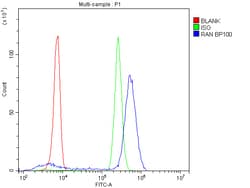 Invitrogen RAN Polyclonal Antibody 100 &mu;g; Unconjugated:Antibodies,
