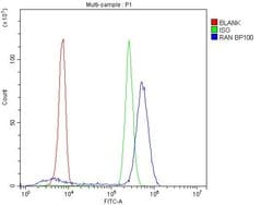 Invitrogen RAN Polyclonal Antibody 100 &mu;g; Unconjugated:Antibodies,