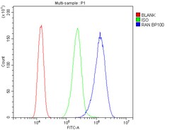 Invitrogen RAN Polyclonal Antibody 100 &mu;g; Unconjugated:Antibodies,