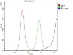 Invitrogen RNH1 Polyclonal Antibody 100 &mu;g; Unconjugated:Antibodies,