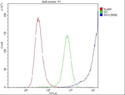 Invitrogen RNH1 Polyclonal Antibody 100 &mu;g; Unconjugated:Antibodies,