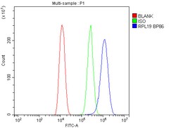 Invitrogen RPL19 Polyclonal Antibody 100 &mu;g; Unconjugated:Antibodies,