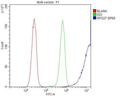 Invitrogen MPS1 Polyclonal Antibody 100 &mu;g; Unconjugated:Antibodies,