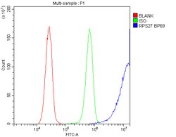 Invitrogen MPS1 Polyclonal Antibody 100 &mu;g; Unconjugated:Antibodies,