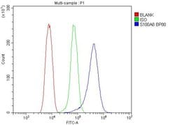 Invitrogen S100A8 Polyclonal Antibody 100 μg; Unconjugated:Antibodies,