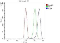 Invitrogen SDHA Polyclonal Antibody 100 &mu;g; Unconjugated:Antibodies,
