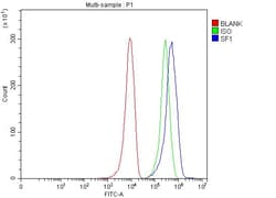 Invitrogen SF1 Polyclonal Antibody 100 &mu;g; Unconjugated:Antibodies,
