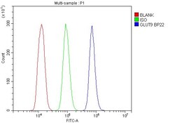 Invitrogen GLUT9 Polyclonal Antibody 100 &mu;g; Unconjugated:Antibodies,