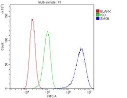 Invitrogen SMC6 Polyclonal Antibody 100 &mu;g | Buy Online | Invitrogen&trade; | Fisher Scientific