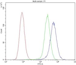Invitrogen SPHK2 Polyclonal Antibody 100 &mu;g; Unconjugated:Antibodies,