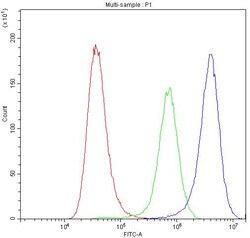 Invitrogen Synaptotagmin 1 Polyclonal Antibody 100 &mu;g | Buy Online | Invitrogen&trade; | Fisher Scientific