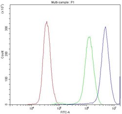 Invitrogen Synaptotagmin 1 Polyclonal Antibody 100 &mu;g | Buy Online | Invitrogen&trade; | Fisher Scientific