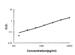 Invitrogen Tryptase Polyclonal Antibody 100 &mu;g; Unconjugated:Antibodies,