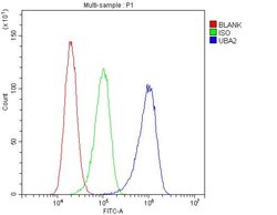 UBA2 Polyclonal Antibody:Antibodies, Polyclonal