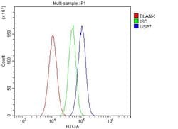 Invitrogen USP7 Polyclonal Antibody 100 &mu;g; Unconjugated:Antibodies,