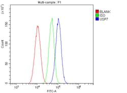 Invitrogen USP7 Polyclonal Antibody 100 &mu;g; Unconjugated:Antibodies,