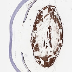 Invitrogen CRYBA1 Polyclonal Antibody 100 &mu;L | Buy Online | Invitrogen&trade; | Fisher Scientific