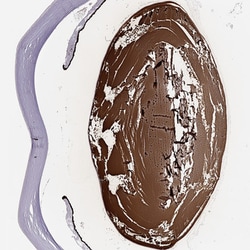 Invitrogen BFSP2 Polyclonal Antibody 100 &mu;L; Unconjugated:Antibodies,