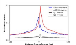 Invitrogen DRIL1 Polyclonal Antibody 100 &mu;L | Buy Online | Invitrogen&trade; | Fisher Scientific
