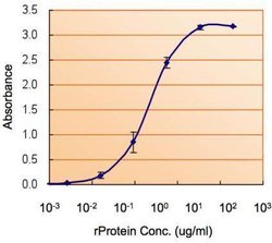 Invitrogen SOD1 Polyclonal Antibody 100 &mu;L; Unconjugated:Antibodies,