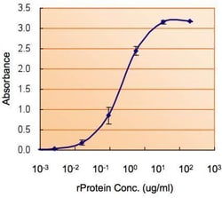 Invitrogen SOD1 Polyclonal Antibody 100 &mu;L; Unconjugated:Antibodies,