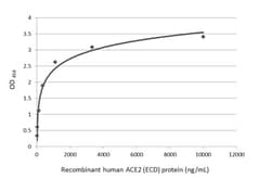 ACE2 Polyclonal Antibody, Invitrogen&trade;