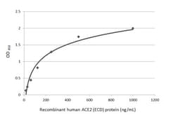 ACE2 Polyclonal Antibody, Invitrogen&trade;