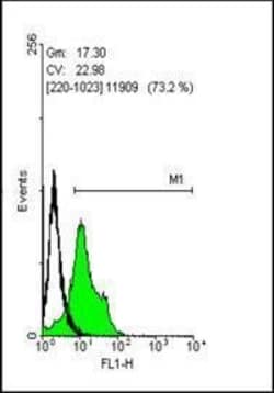 Invitrogen SOX2 Polyclonal Antibody 100 &mu;L; Unconjugated:Antikörper