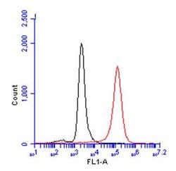 Invitrogen CD81 Polyclonal Antibody 100 &mu;L; Unconjugated:Antibodies,
