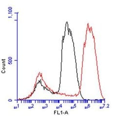 Invitrogen Arginase 1 Polyclonal Antibody 100 &mu;L; Unconjugated:Antibodies,