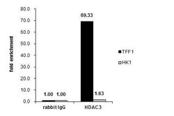 Invitrogen HDAC3 Polyclonal Antibody 100 &mu;L; Unconjugated:Antibodies,